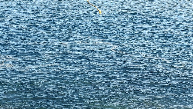 Contaminación jaulas flotantes Salinetas
