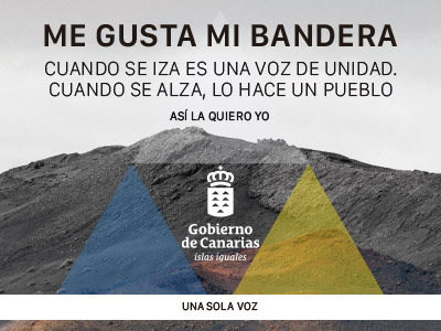 Campaña Bandera 